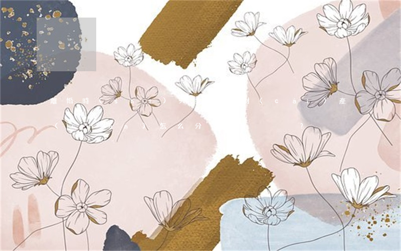離婚時(shí)夫妻共同財(cái)產(chǎn)怎么分配？